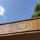 앞마당 | 콘드에뻬뻬 앞마당 주말 원격 웨이팅 후기, 주차