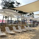 월포 락 페스티벌 | 월포해수욕장