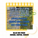 성북구 중랑구 광진구 재개발 나대지 방치 주택 화단 예초 제초 후기｜잡초 제거와 현장 관리 방법...