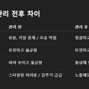 하연토탈뷰티