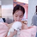 우쭈쭈 강아지 이미지