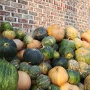 우성여관 이미지