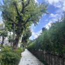 용산-139 이미지