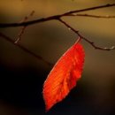 남산로L 이미지