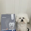 (주)플레이독소프트 | 닥터독 베츠초이스 피부모질 사료 체험후기💙