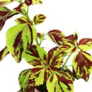 정화농장 이미지