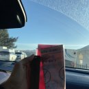 솔향 | 강릉 경찰수련원 카라반 강릉 솔향카라반캠핑장 후기