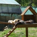 종보농장 이미지