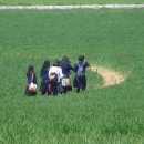 순례농장 이미지