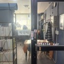대전 탄방동 미용실 인텐즈 헤어 컷트 다운펌 후기