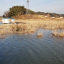 대요낚시터 이미지