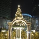 금빛가든 이미지