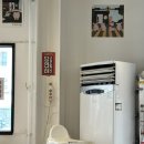 언제나꽃돼지 이미지