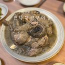 큰나무집 Daum카페