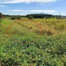 송시마을회관 이미지