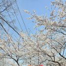 재경