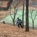 세븐봉방점 | 일짤 2호기