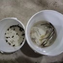 곰마을민박 이미지