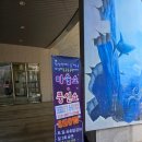 대서분회경로식당 | 보성 아이랑 가볼만한곳 비봉공룡박물관