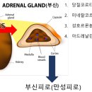 복약국 이미지