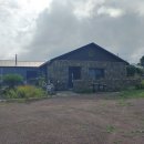 올리버 스테이 이미지