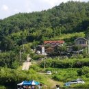 냉이꽃 민박 이미지