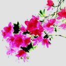 무등산당구장 이미지