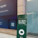 캣홀릭 | 2026년 맘스홀릭 베이비페어 코엑스 방문~