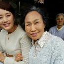 팔레스호텔 이미지