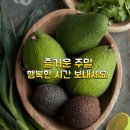 돈버는 \누나