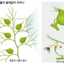 일월수목원전시온실 이미지