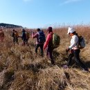 새만금바람길 이미지