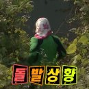 빅브레드 이미지