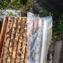 지연농장 이미지