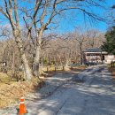 평화목장 이미지