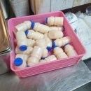 교동운수 이미지