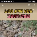 부산 경남지역에 미니오너 분들이 몇분이나 되실까요? 이미지