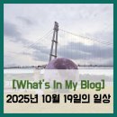 피아노 음악회 <헬로 88> | [블로그 챌린지] What's In My Blog - 2025년 10월 19일의 일상