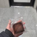 매머드익스프레스수원성대역점 | 매머드에서 두쫀쿠 역대급 긴 카다이프(내돈내산)