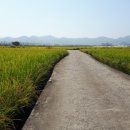 하방지천 이미지