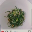 나물 Daum카페