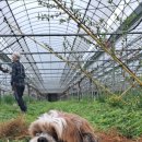 봉수농장 이미지