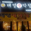 황금생막창