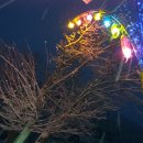 한동호 카카오 검색결과