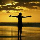 꽃이 피고 비가 내리면 이미지