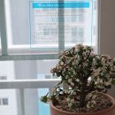 마리아유외과의원 이미지