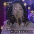 모모반점