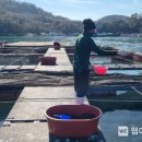 경상남도 수산안전기술원 이미지