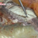 막내횟집 이미지
