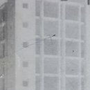 정언빌딩 이미지